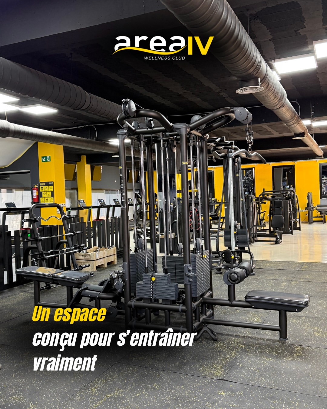 Fitness & musculation